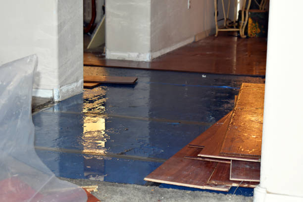 Professional Basement Water Removal technician working in Warren, OR
